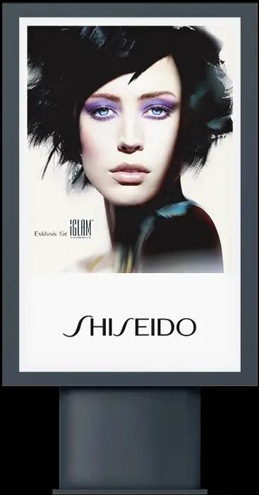 Client: Brandpunkt / Berlin,Project: Shiseido social media & offline communication,Date: January 2013 
