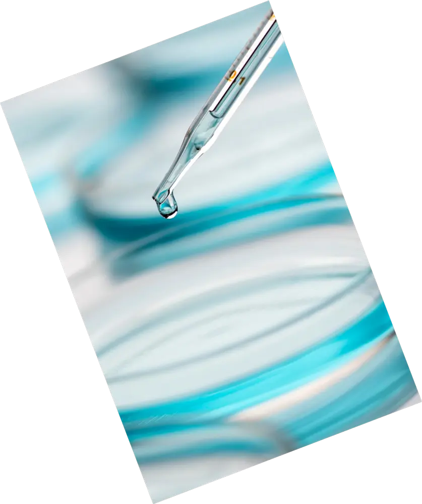 Monipol Monipol Monipol Monipol Monipol Monipol Monipol Monipol Monipol 